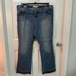 Torrid Slim Boot Jeans Plus Size 22